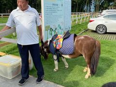 -太阳岛度假酒店