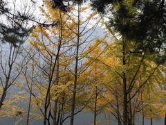 -秦岭终南山世界地质公园翠华山景区