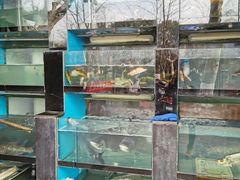 -全乐鱼馆·淳牌有机鱼直营店