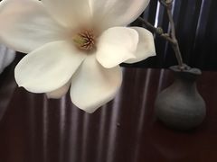 -汤森悠生活文化汤(江宁万达店)