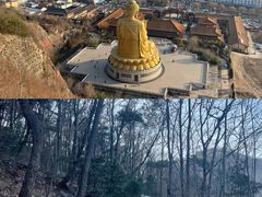 -大伊山景区
