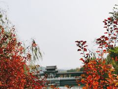 -北宫国家森林公园