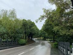 -贡湖湾湿地公园