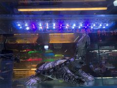 -崔英子朝韩民俗风味烤肉烤串城(大东店)