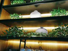 -小厨娘淮扬菜(清江苏宁广场店)
