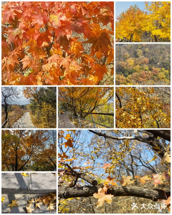八达岭长城图片