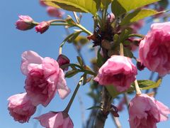 -梁鸿国家湿地公园