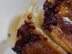 -汪记大王锅贴(成山路店)