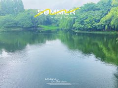 -上海共青森林公园