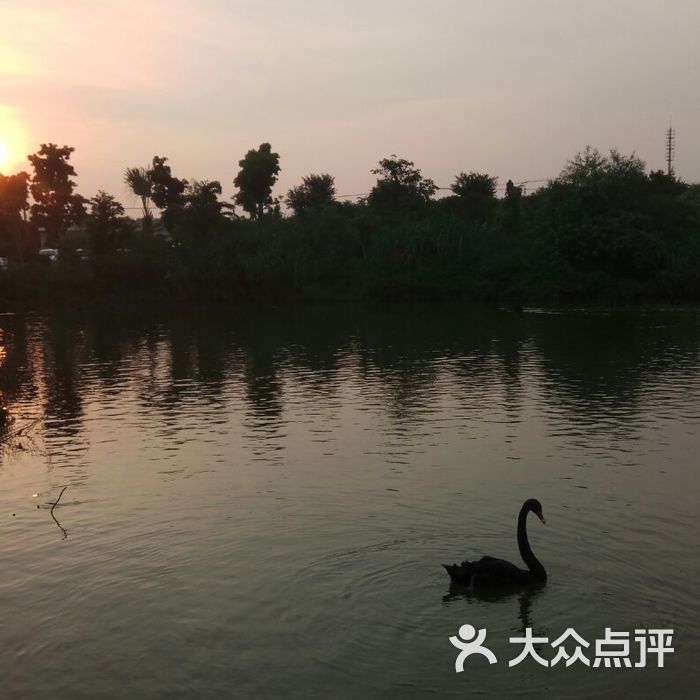 品胜天鹅湖庄园
