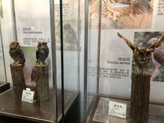 -中山市树木园