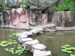 -深圳国际园林花卉博览园