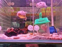 -三旗百汇商品城