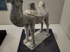 -安阳博物馆
