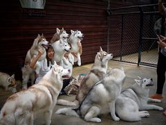 -TrueLove @ Neverland (Husky Cafe)