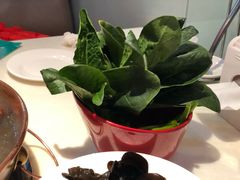 菠菜-阳坊胜利涮羊肉(禧乐汇店)