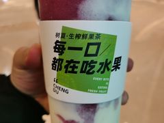 -树夏(金楠天街店)