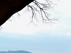 -东钱湖旅游度假区