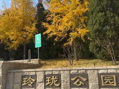 -玲珑塔公园