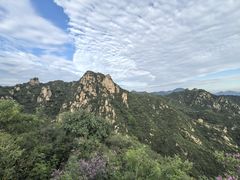 -大岭沟猕猴桃谷风景区
