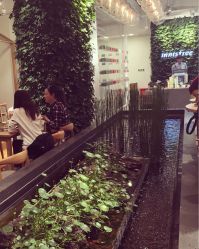 -悦诗风吟innisfree