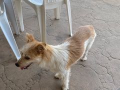 -胖大嫂渔家排档·全海景餐厅(渔村店)