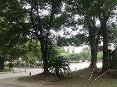 -复旦大学光华楼