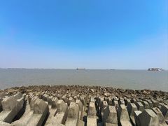 -上海滨江森林公园