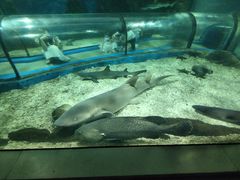 -福州罗源湾海洋世界旅游区