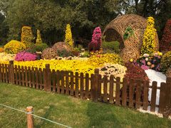 -上海共青森林公园