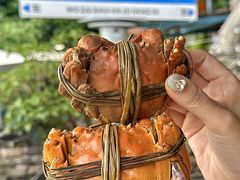 -水岸居湖景农家乐·阳澄湖大闸蟹