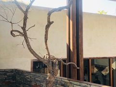 -几荷·恰似故人来(秀水广场店)