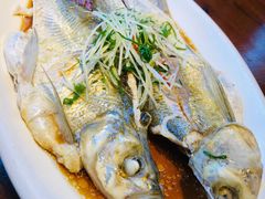 白条鱼-春暖花开(西溪店)