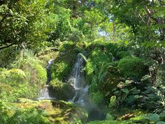 -Chom Cafe and Restaurant