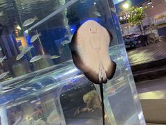 -欢乐海岸海洋奇梦馆