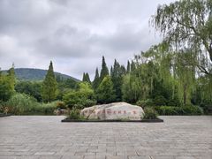 -习家池