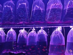 -华声天桥民俗文化园