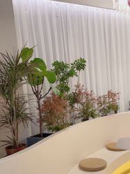 -韩芙莱芳疗spa健康管理