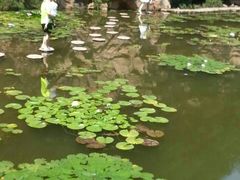 -爱情山风景区
