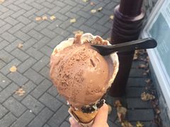 -Patagonia Chocolates(皇后镇店)