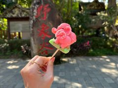 -野象谷景区
