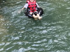 -九龙江国家森林公园