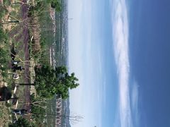 -紫云台香草园
