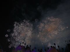 -花博汇(知音花月夜)