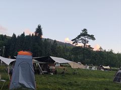 -武陵山森林公园
