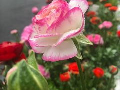 -衡山路(地铁站)