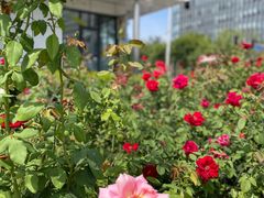 -元大都城垣遗址公园