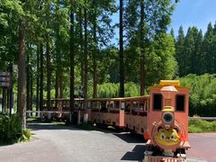 -黄海国家森林公园