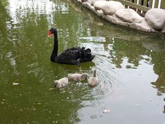 android_upload_pic-北京市海淀外国语实验学校