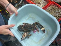 -船奇蒸汽海鲜·闽菜(八市海鲜总店)